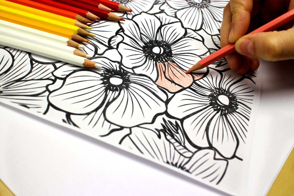 Colorare con le matite